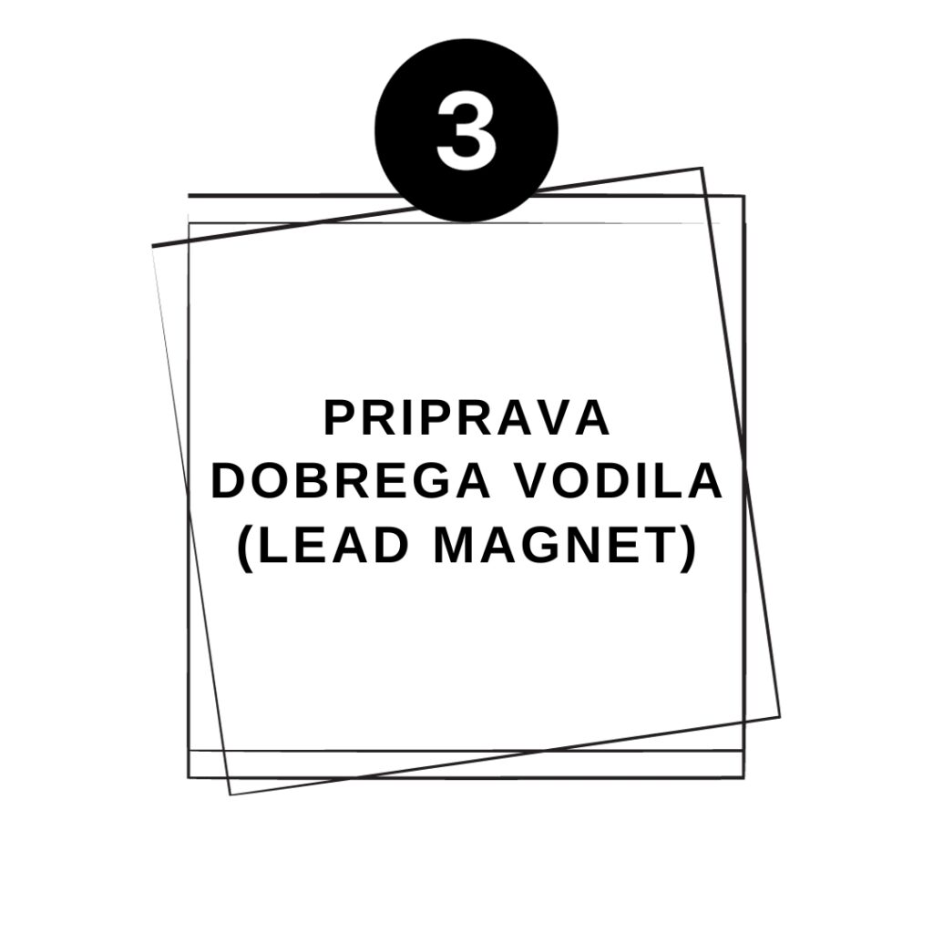 Plačljivo oglaševanje in prodaja - Google in Meta